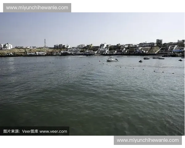 全面聚焦秘鲁足球联赛最新积分排名走势与球队竞争格局的深度全景解读